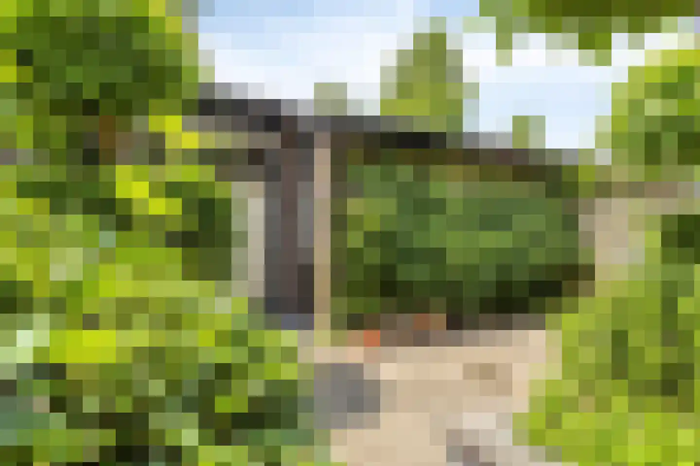 Vierde Morgen 18 's-Hertogenbosch thumbnail 31