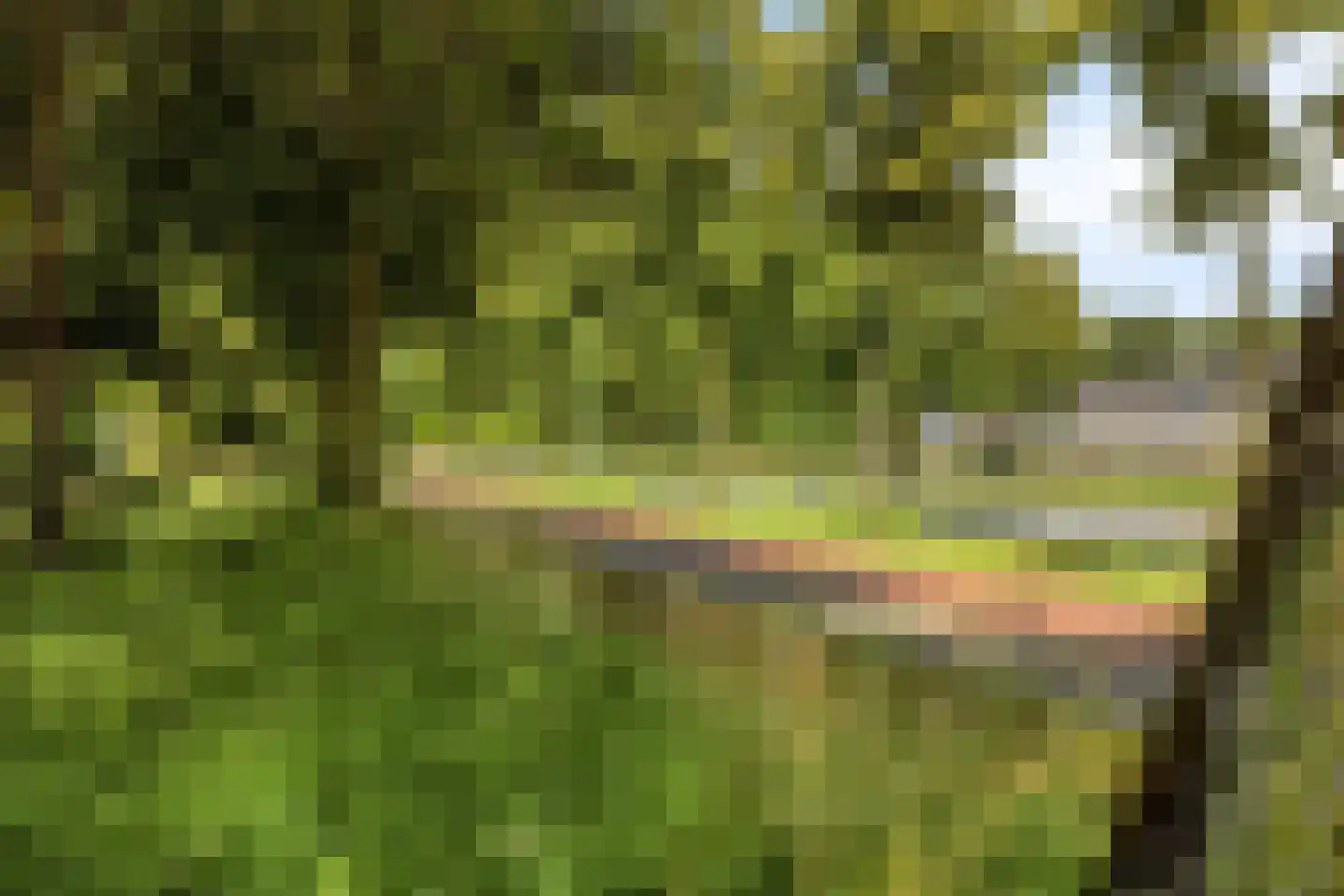 Vierde Morgen 18 's-Hertogenbosch thumbnail 40