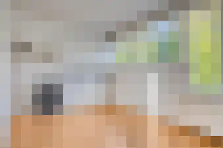 Vierde Rompert 1 's-Hertogenbosch thumbnail 12