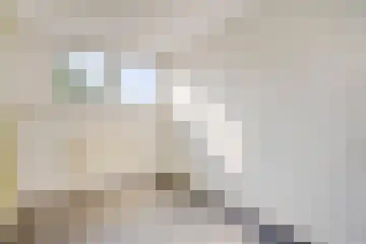 Vierde Rompert 1 's-Hertogenbosch thumbnail 16