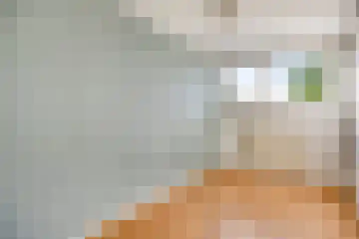 Vierde Rompert 1 's-Hertogenbosch thumbnail 17