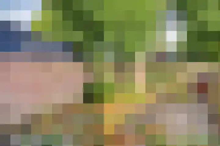 Vierde Rompert 1 's-Hertogenbosch thumbnail 22