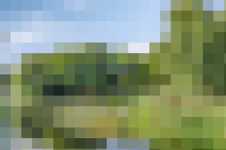 Vierde Rompert 1 's-Hertogenbosch thumbnail 27