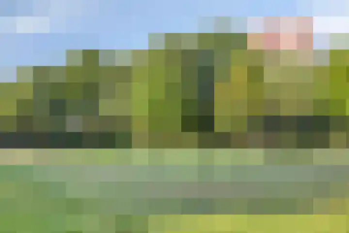 Vierde Rompert 1 's-Hertogenbosch thumbnail 28