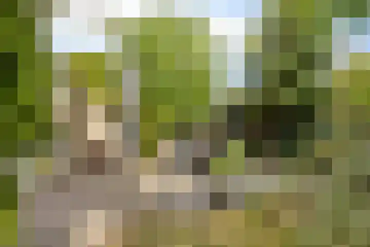Vierde Rompert 36 's-Hertogenbosch thumbnail 13