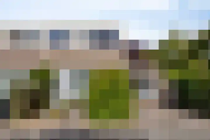 Vierde Rompert 36 's-Hertogenbosch thumbnail 28