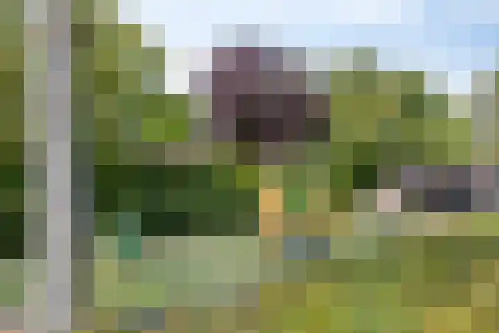 Vierde Rompert 36 's-Hertogenbosch thumbnail 30