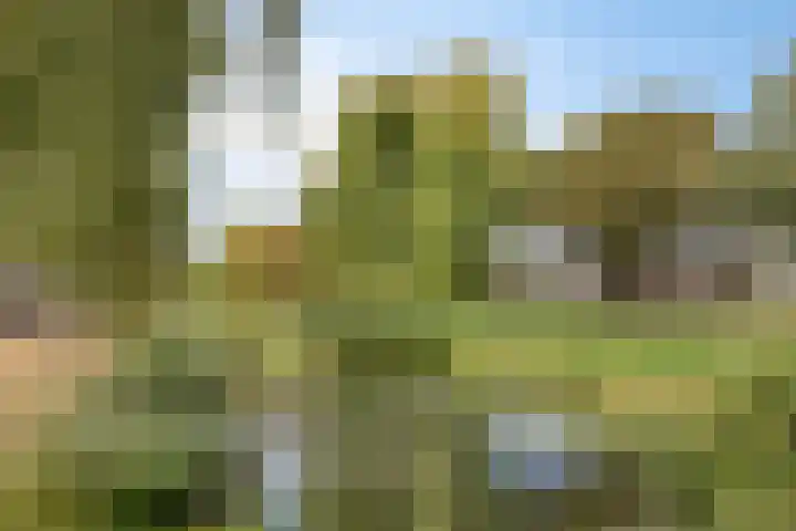 Vierde Rompert 36 's-Hertogenbosch thumbnail 31