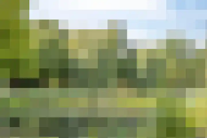 Vierde Rompert 36 's-Hertogenbosch thumbnail 32