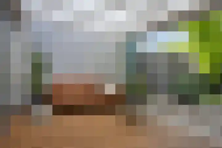 Vierde Rompert 36 's-Hertogenbosch thumbnail 9