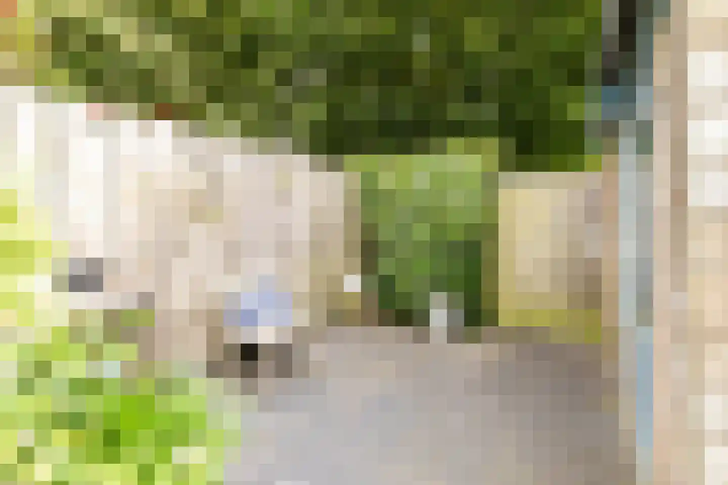 Vierde Rompert 69 's-Hertogenbosch thumbnail 14
