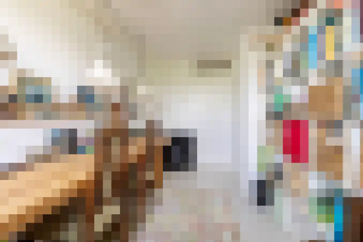 Vierde Rompert 69 's-Hertogenbosch thumbnail 36