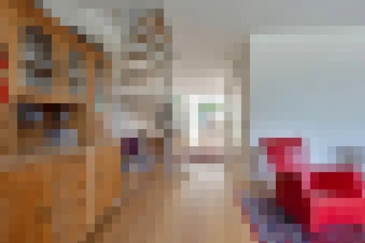 Vierde Rompert 69 's-Hertogenbosch thumbnail 6