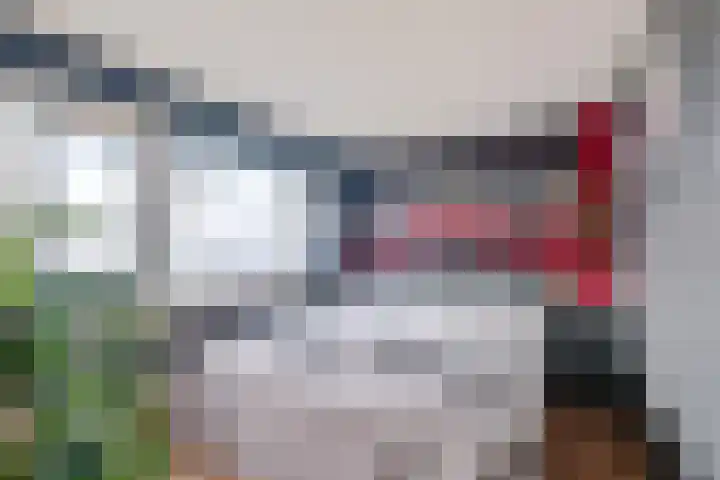 Vierde Slagen 16 's-Hertogenbosch thumbnail 19