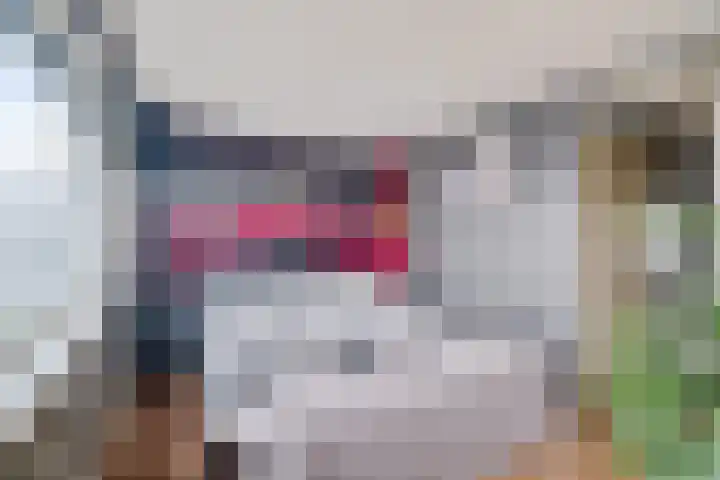 Vierde Slagen 16 's-Hertogenbosch thumbnail 20