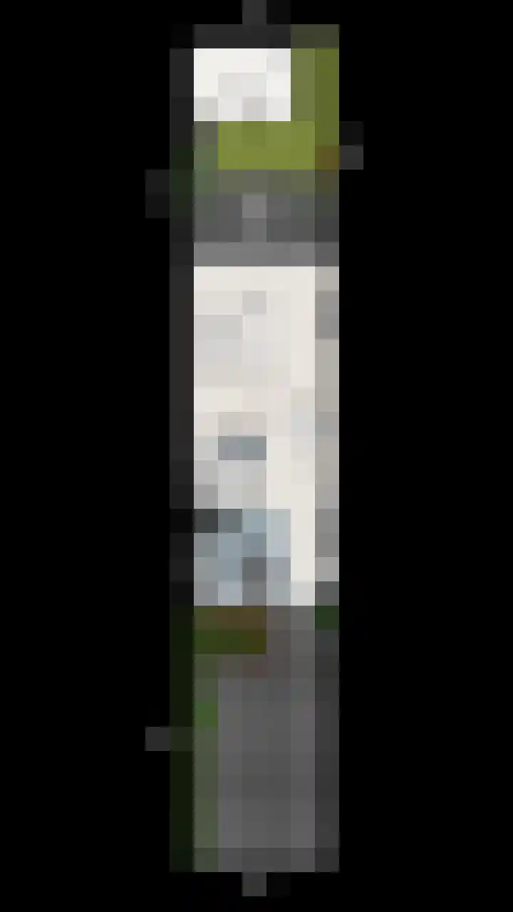 Vierde Slagen 16 's-Hertogenbosch thumbnail 31