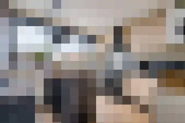 Vierde Slagen 16 's-Hertogenbosch thumbnail 8