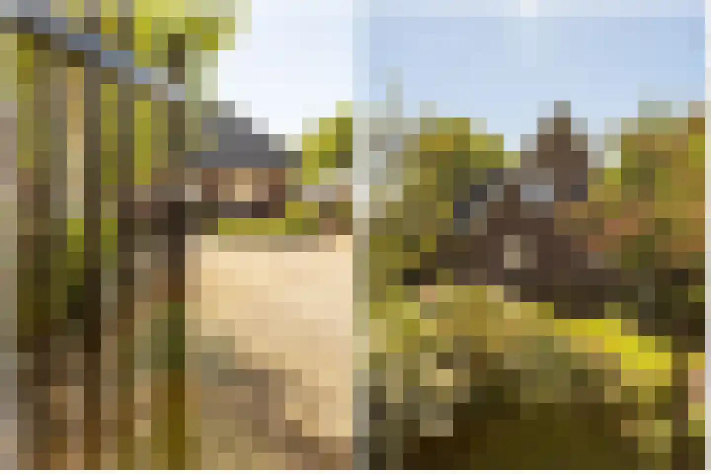 Vierde Tochtweg 15 a Moordrecht thumbnail 10