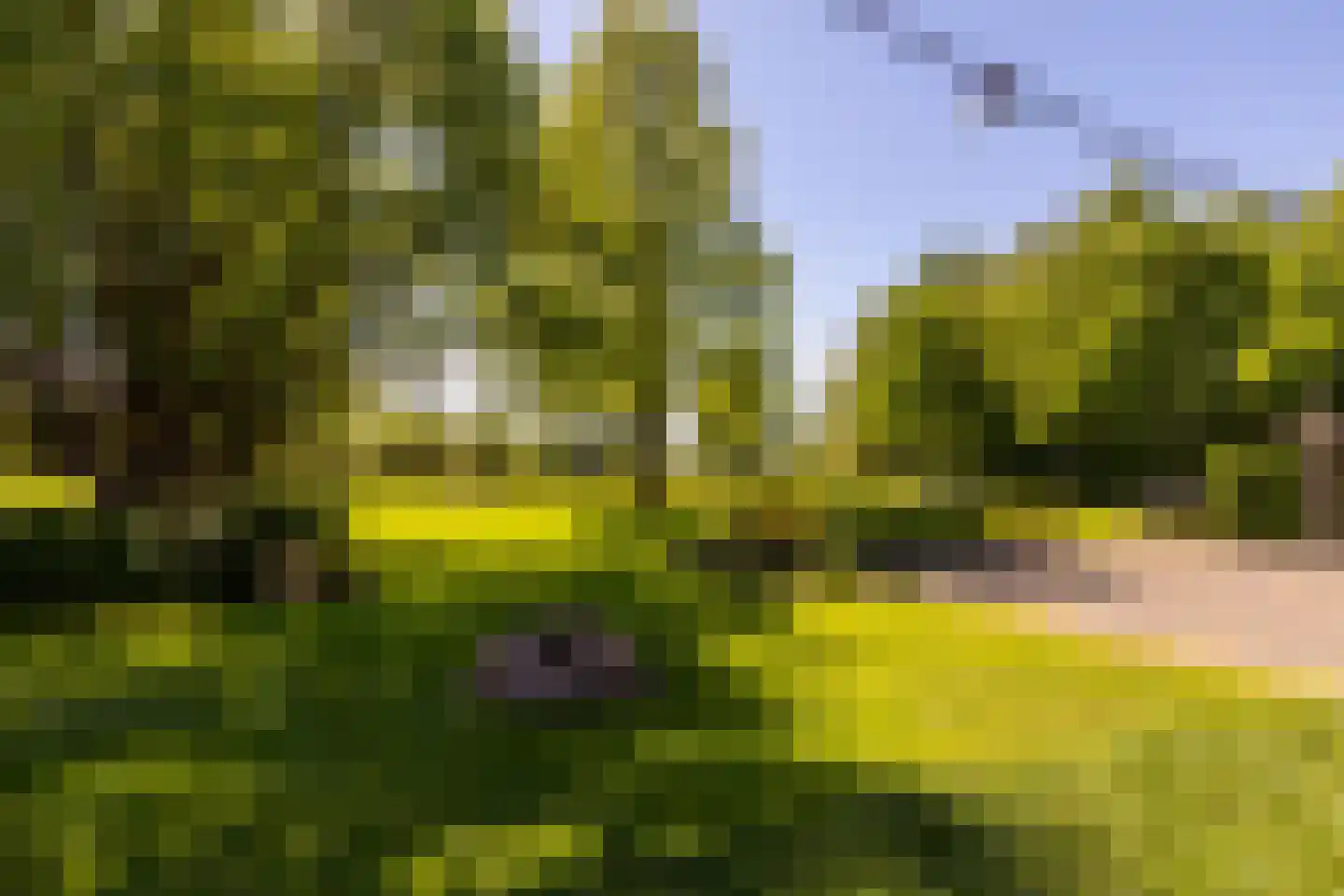 Vierde Tochtweg 15 a Moordrecht thumbnail 5