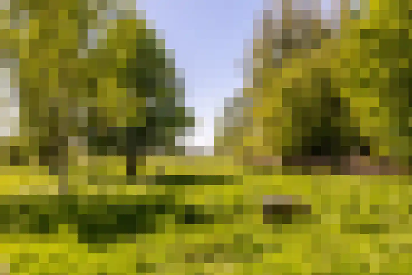 Vierde Tochtweg 15 a Moordrecht thumbnail 51