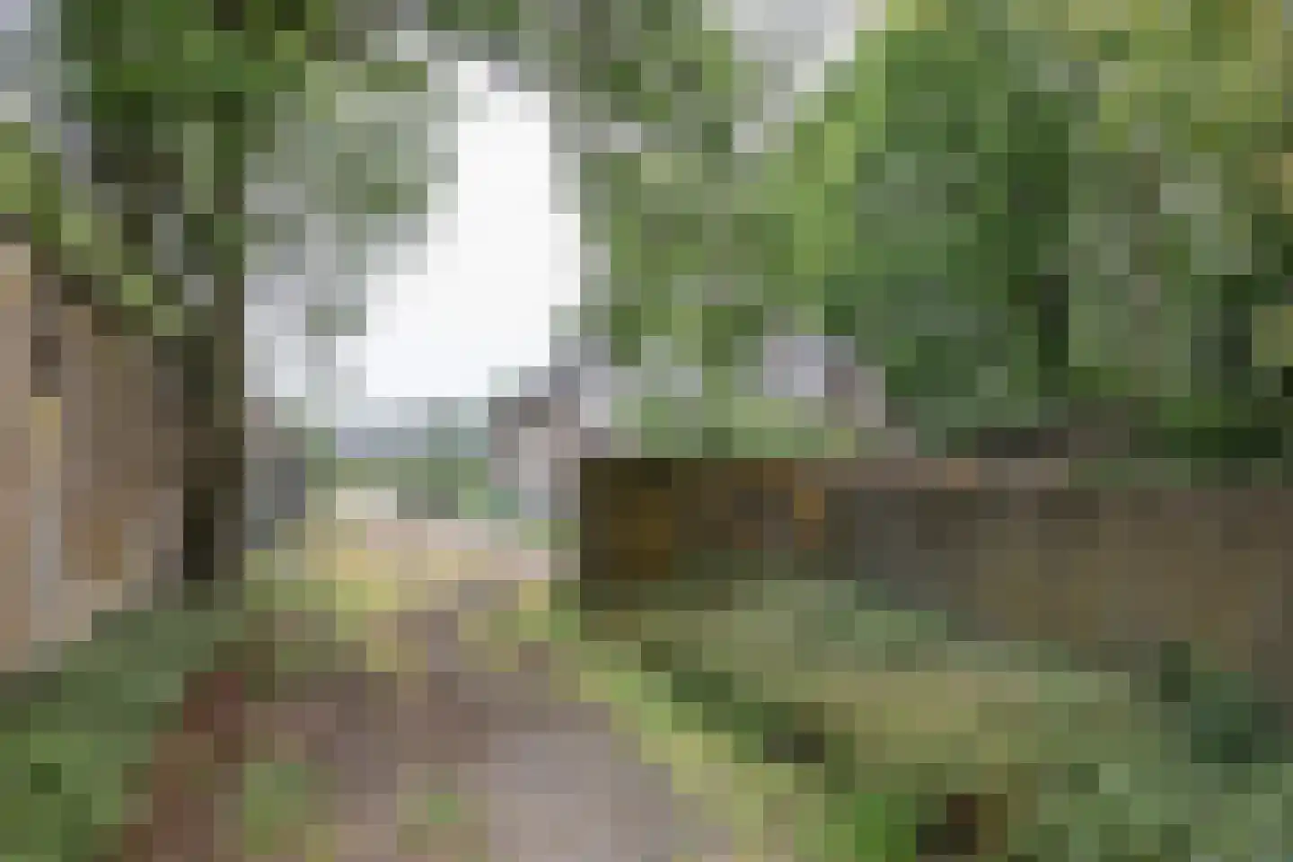 Vierde Tochtweg 9 Moordrecht thumbnail 13