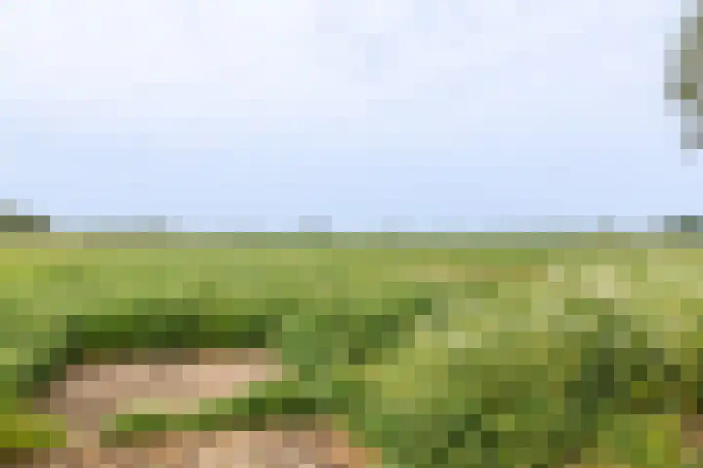 Vierde Tochtweg 9 Moordrecht thumbnail 15