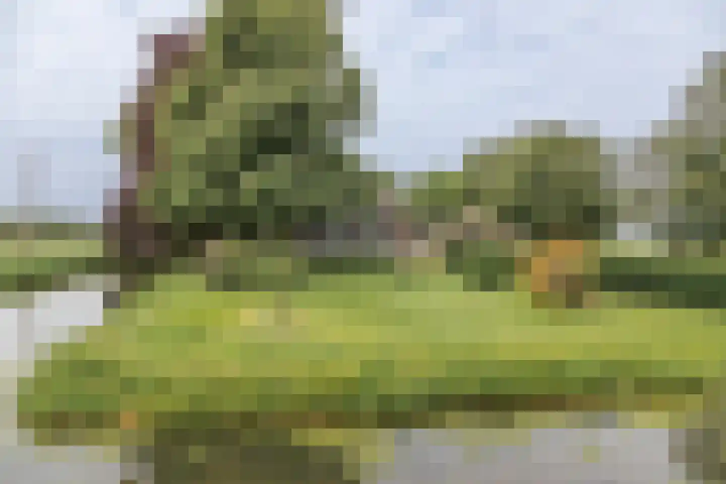 Vierde Tochtweg 9 Moordrecht thumbnail 8