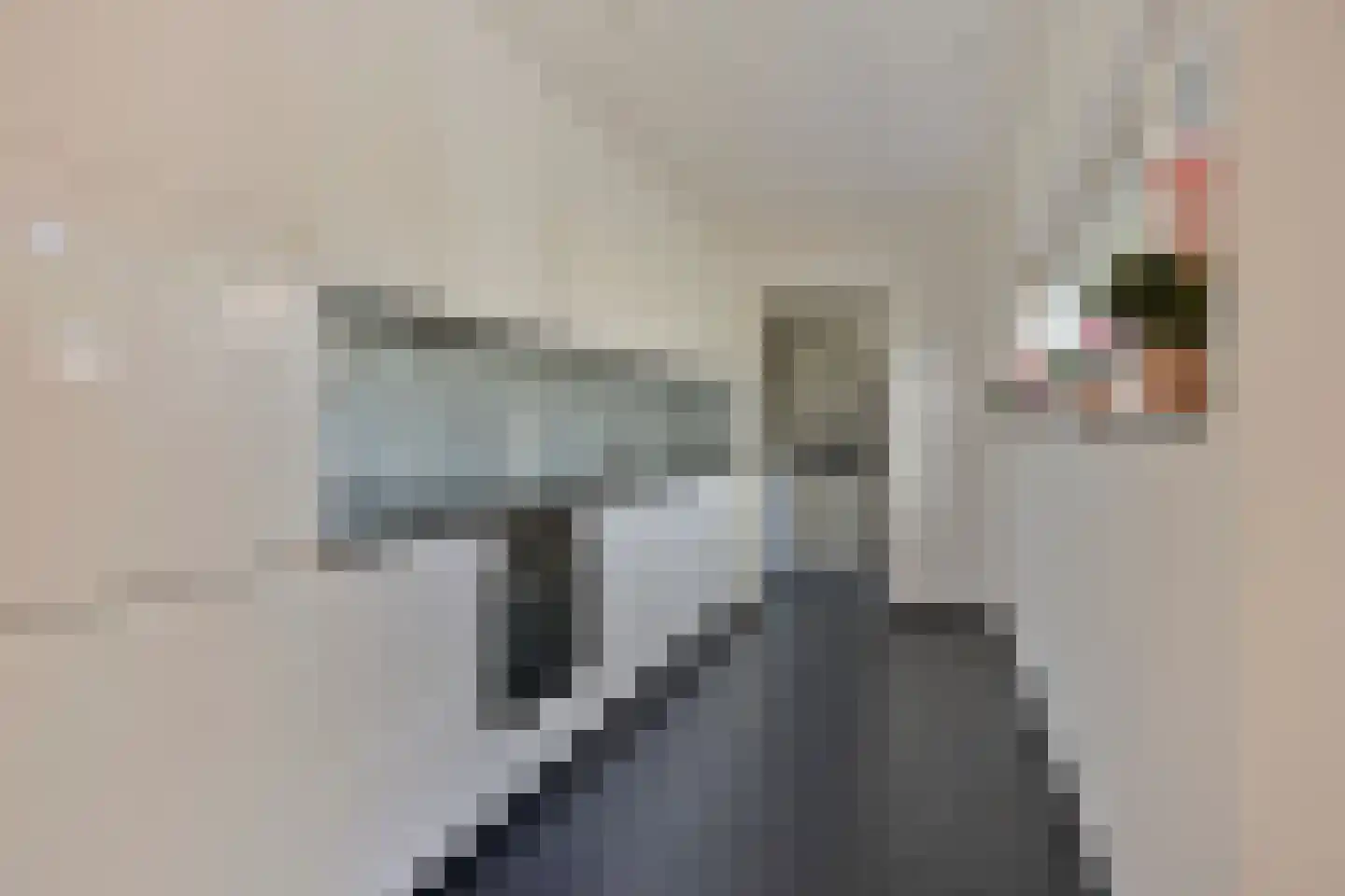 Vierduitruwe 3 Maastricht thumbnail 11