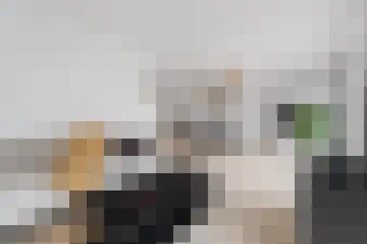 Vierduitruwe 8 Maastricht thumbnail 5