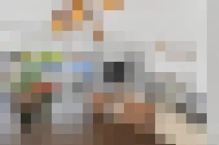 Vierduitruwe 8 Maastricht thumbnail 6
