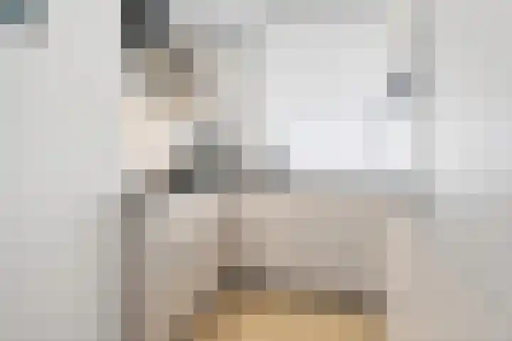 Vierduitruwe 8 Maastricht thumbnail 9