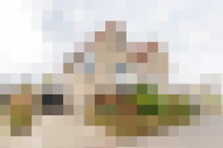 Vierendeel 18 Ten Boer