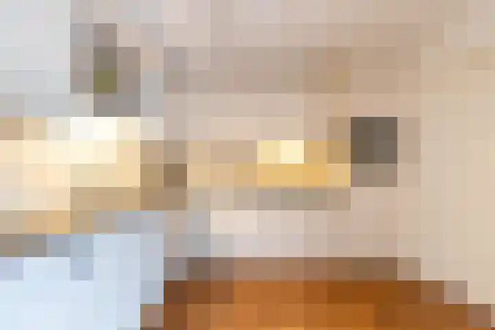 Vierendeel 18 Ten Boer thumbnail 20