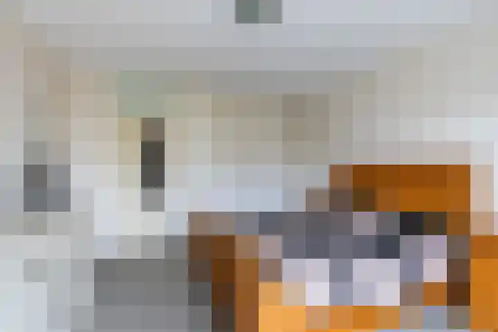 Vierendeel 18 Ten Boer thumbnail 28