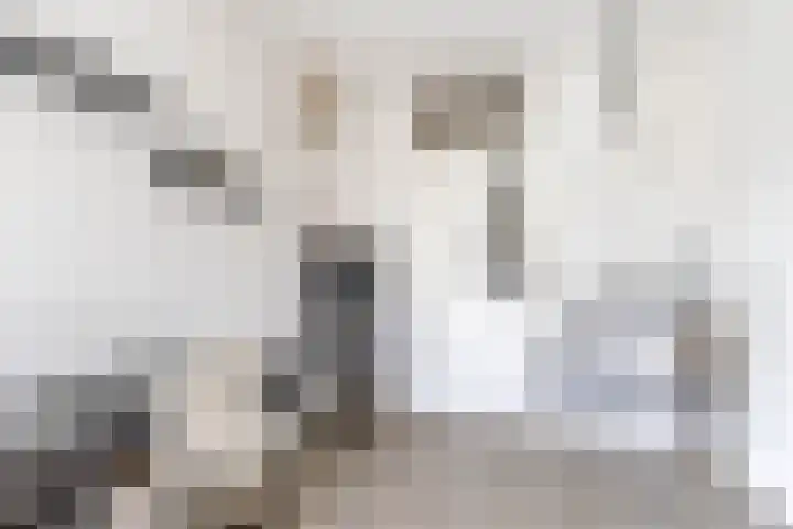 Vierendeel 18 Ten Boer thumbnail 32