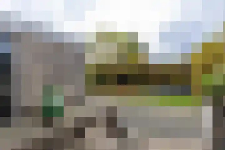 Vierendeel 18 Ten Boer thumbnail 51