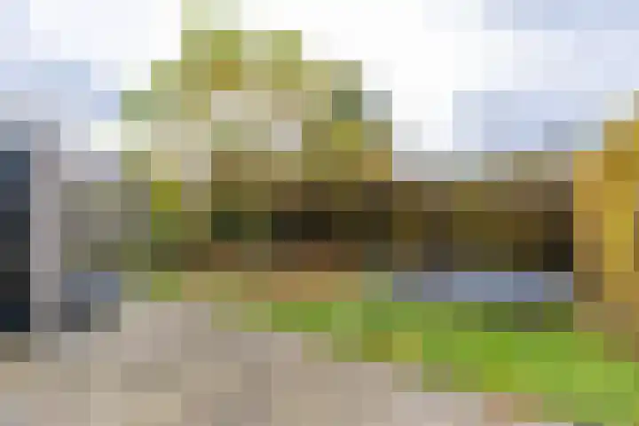 Vierendeel 18 Ten Boer thumbnail 52