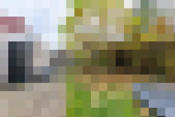Vierendeel 18 Ten Boer thumbnail 53