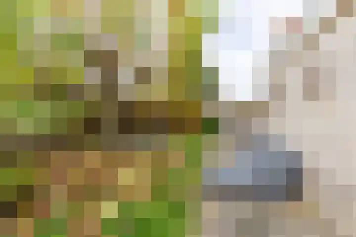 Vierendeel 18 Ten Boer thumbnail 54
