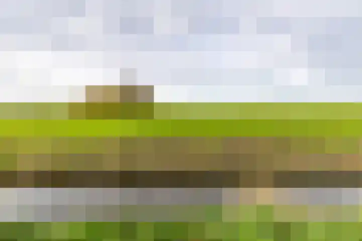 Vierendeel 18 Ten Boer thumbnail 56