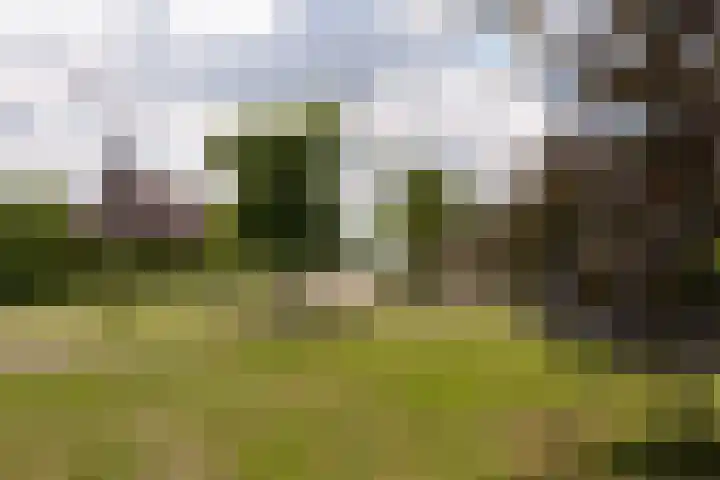 Viergang 143 Mijdrecht thumbnail 33