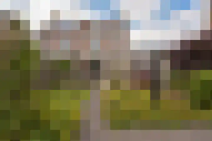 Viergang 143 Mijdrecht thumbnail 4