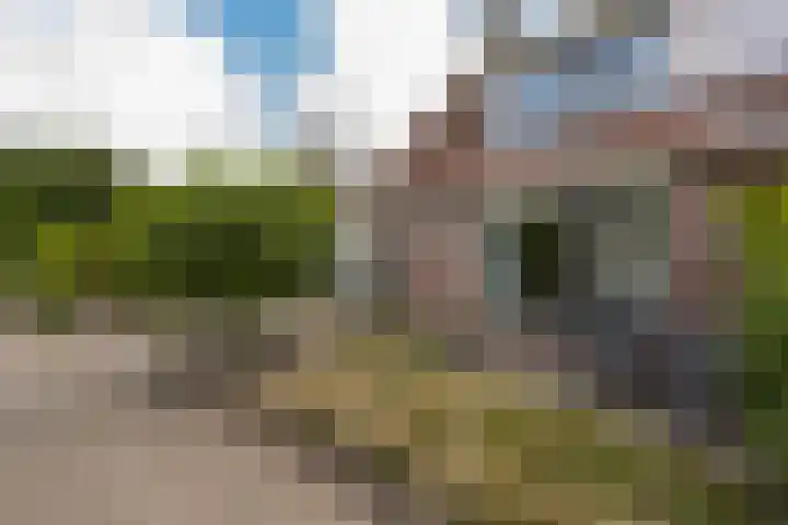 Viergang 143 Mijdrecht thumbnail 5