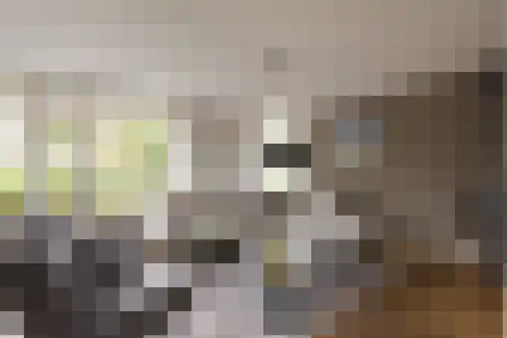 Viergang 143 Mijdrecht thumbnail 9