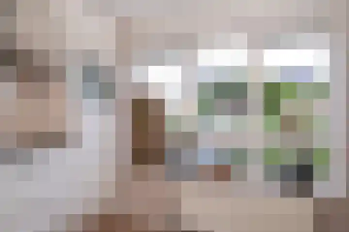 Viergeverstraat 19 Opheusden thumbnail 11