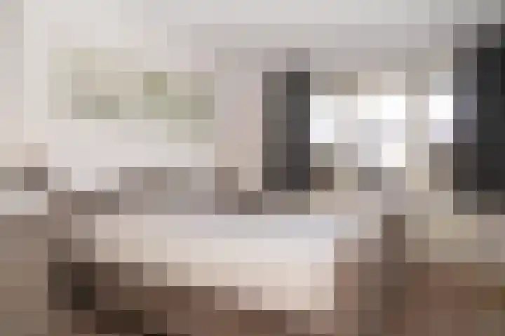 Viergeverstraat 19 Opheusden thumbnail 18