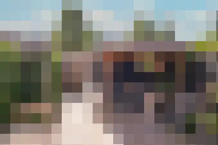 Viergeverstraat 19 Opheusden thumbnail 4