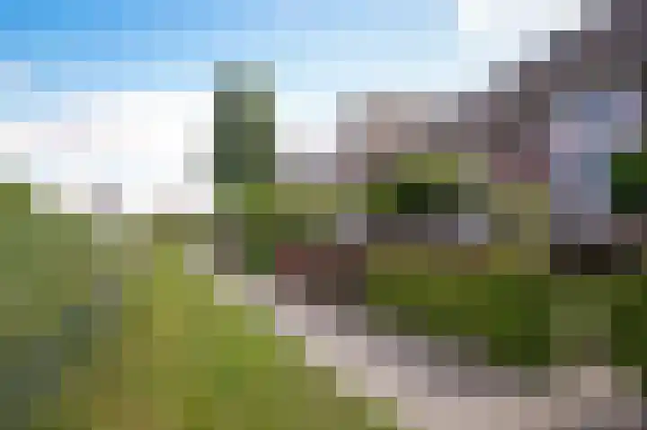 Viergeverstraat 19 Opheusden thumbnail 6