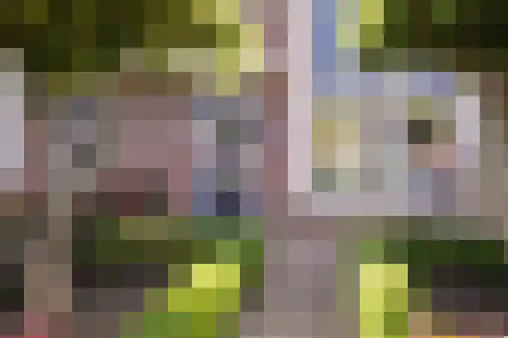 Viergeverstraat 19 Opheusden thumbnail 7