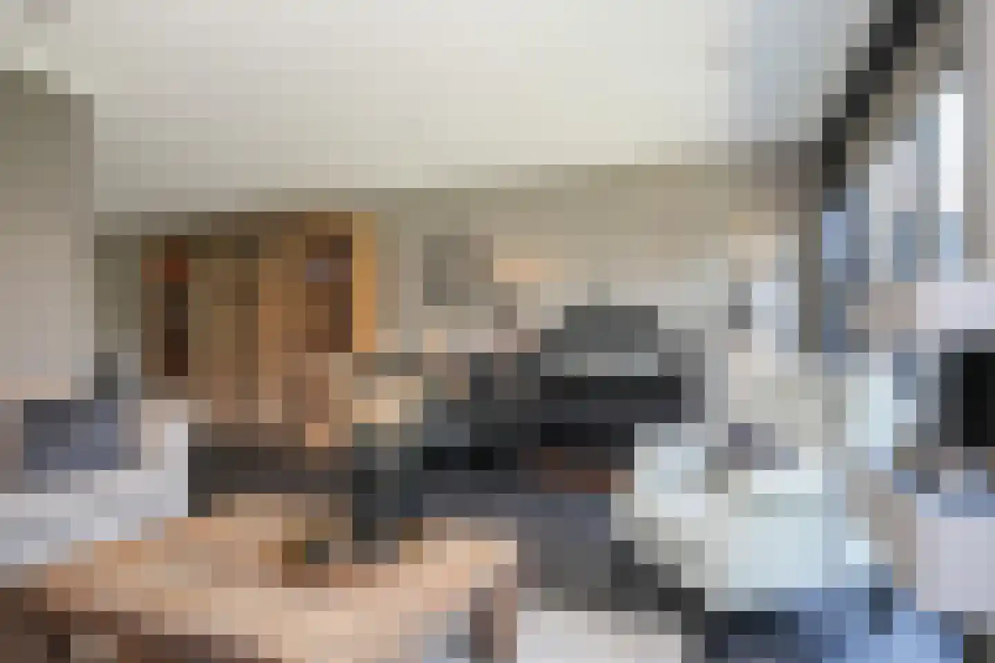 Viergeverstraat 52 Opheusden thumbnail 11